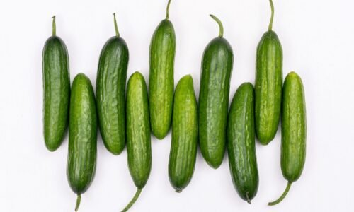cucumber2-nema