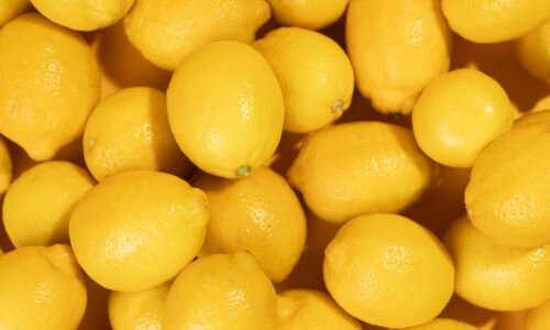 lemon1-nema