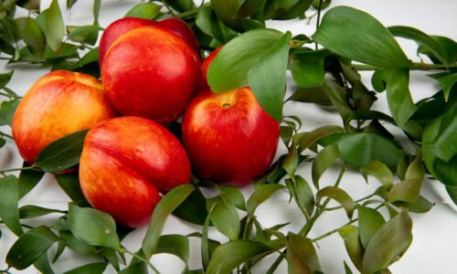 side view of fresh ripe nectarines with green leaves on white background