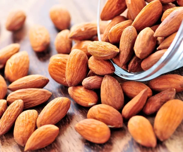 almond1-bidi