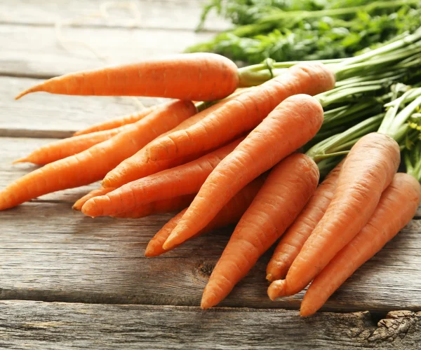 carrots1-bidi