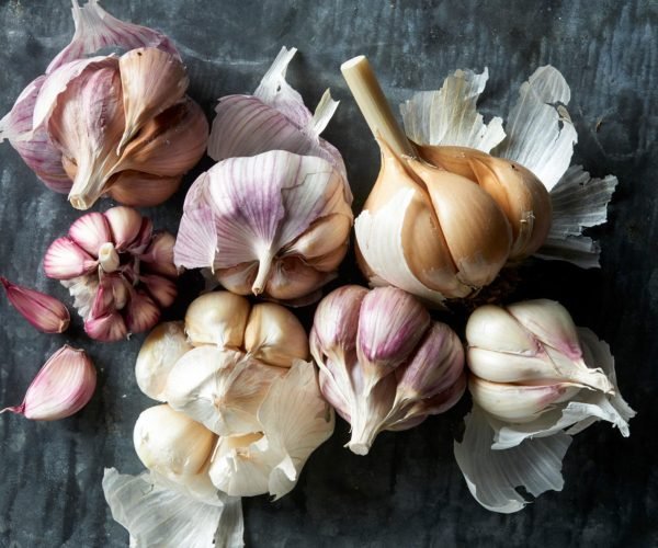garlic1-bidi