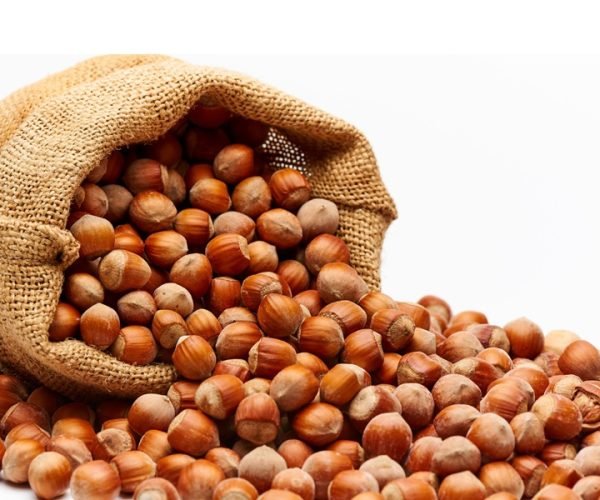 hazelnut1-bidi