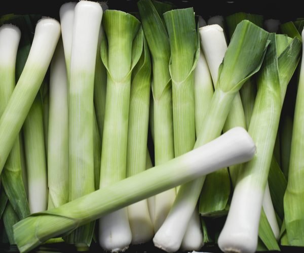 leek1-bidi