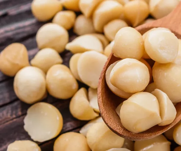 macadamia1-bidi