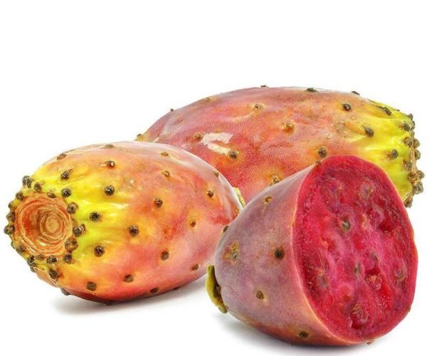 prickly pear1-bidi