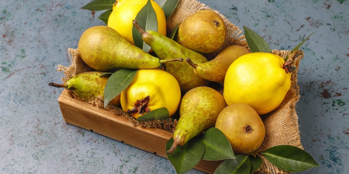 Fresh organic farm fruits,pears,quince,top view