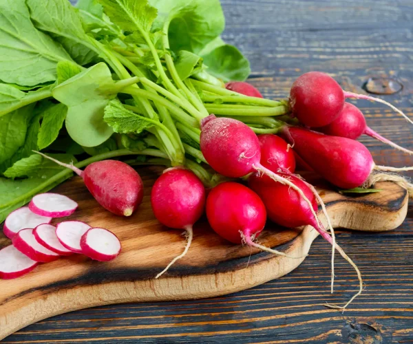 radish1-nema