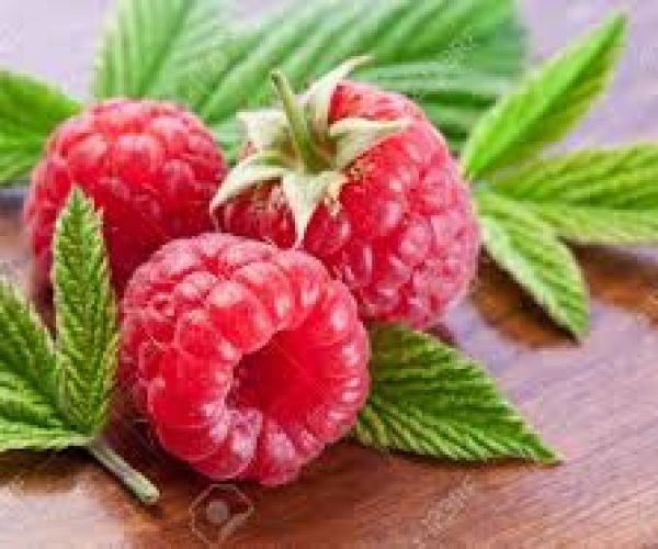 rasberry1-bidi