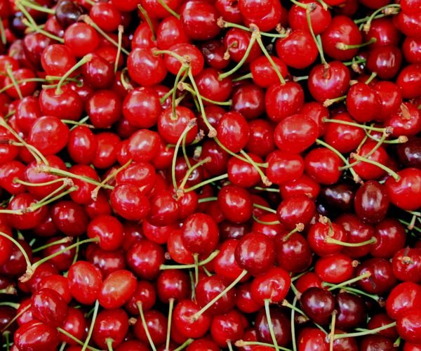 sour cherry1-bidi