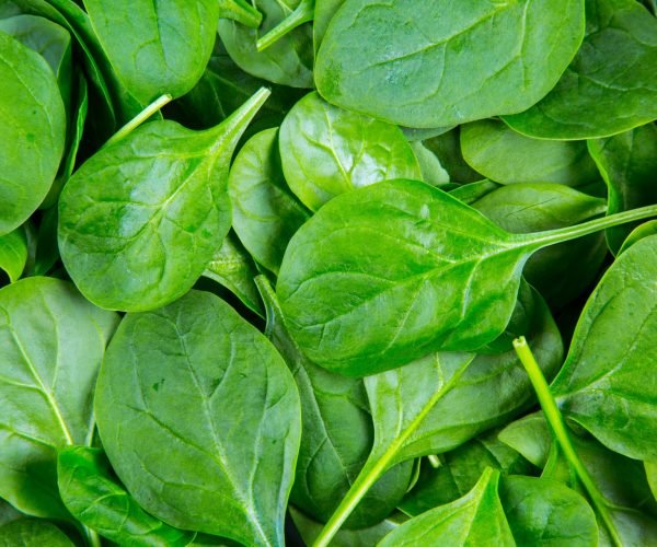 spinach1-nema