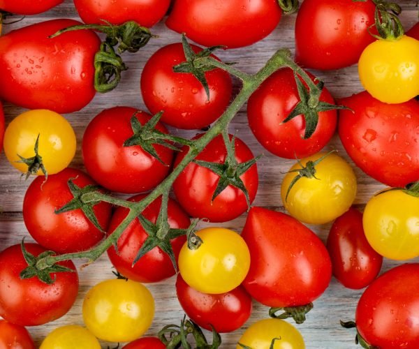 top view of pattern of yellow and red tomatoes on wooden background