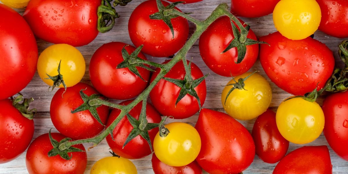 top view of pattern of yellow and red tomatoes on wooden background