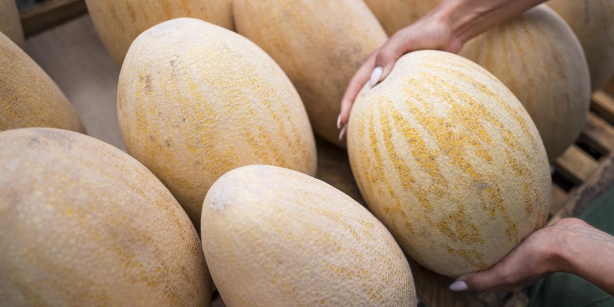woman-looking-fresh-melon-with-copy-space